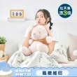 【Great Living 格蕾寢飾】迪士尼正版授權 眠綿冰涼被枕頭組(怪獸電力公司/小熊維尼/La Belle/玻尿酸涼被)