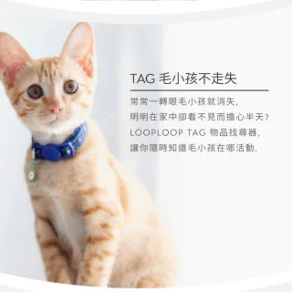 2入組【LOOPLOOP】Tag 物品尋找器 全球定位防丟追蹤器 AT-10(支援 Apple Find my)