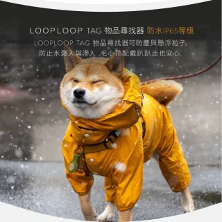 2入組【LOOPLOOP】Tag 物品尋找器 全球定位防丟追蹤器 AT-10(支援 Apple Find my)