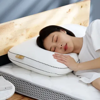 【Darphia 朵法亞】速寄|銀粒子棉眠枕 贈洗衣袋 支撐包覆 抗菌防蟎 透氣枕