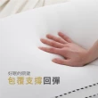【Darphia 朵法亞】速寄【銀粒子棉眠枕】贈洗衣袋 支撐包覆 抗菌防蟎 透氣枕