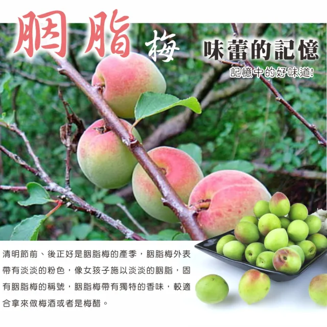 【光合果物】南投老欉胭脂梅 大顆 釀酒專用(5斤±10%/箱)