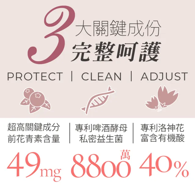 【jojome】法國蔓越莓益菌膠囊6袋入(超量前花青素｜全面呵護)