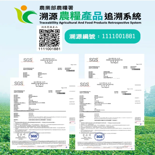 【百香】綠茶三角立體茶包3gx16入 2罐組 自然農法 茶包(100%台灣茶 百香茶葉 綠茶 茶包 年節送禮)