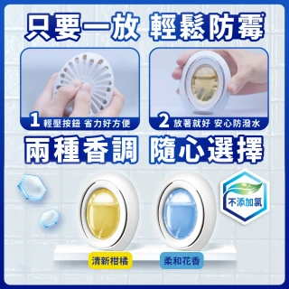 【風倍清】浴廁用防霉防臭劑/芳香劑4入組(2入裝X2-柔和花香/清新柑橘 任選)