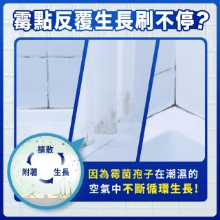 【風倍清】浴廁用防霉防臭劑/芳香劑 5入裝(柔和花香/清新柑橘)