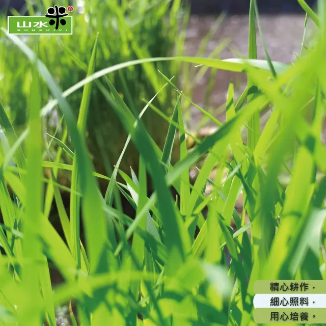 【鴨間稻】有機糙米(1.5Kg/1入)