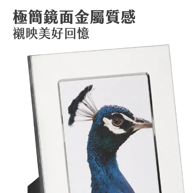 【PHILIPPI】德國 德國美感工藝居家配件 Celeste相框 鏡面5x7吋 / 照片框