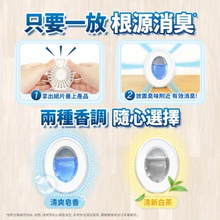 【風倍清】全新室內用 抗菌消臭防臭劑 6入裝