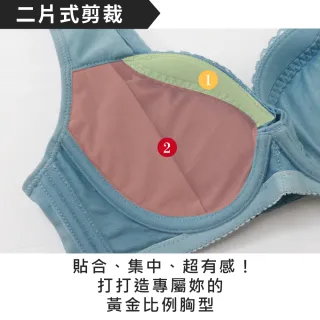 【Daima 黛瑪】現貨出清 軟鋼圈B-E/頂級工藝性感機能內衣/集中/托高/調整型/無副乳/大罩杯/女內衣(豆沙色)