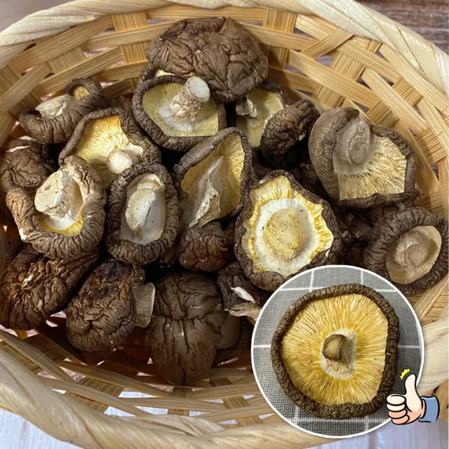 【KUN SONG 坤松香菇】台中新社大香菇300gx2袋(5cm以上超大菇 首露冬菇 COSTCO momo獨家)