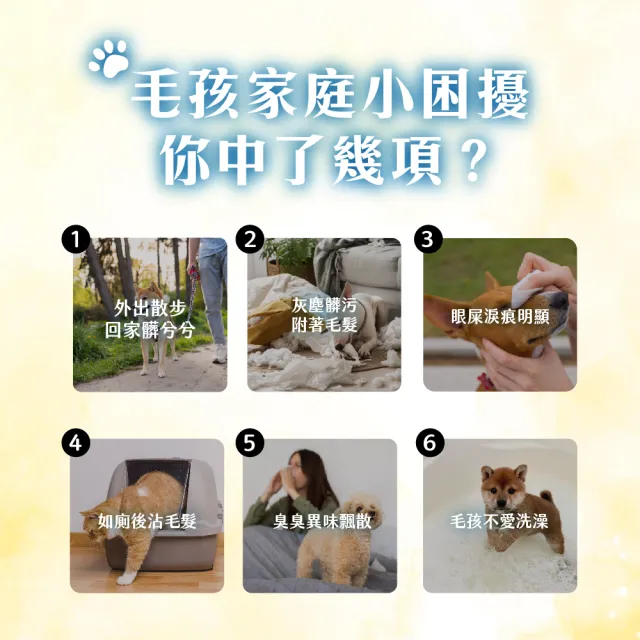 【Petto貝多芬】寵物清潔濕巾(10抽x72包/箱)