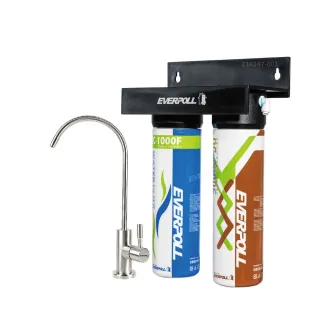 【EVERPOLL】經典複合淨水器+不銹鋼單冷龍頭(DCP-3000HA+AE-200)