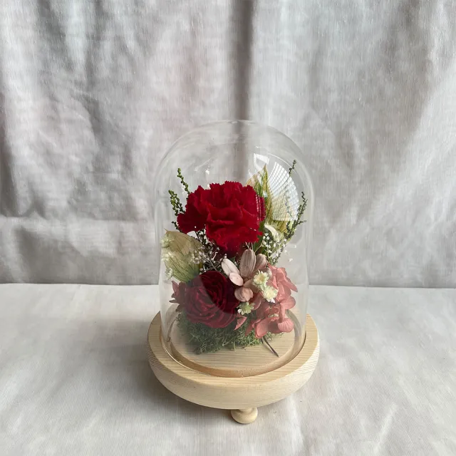 【OSTARA FLORIST 奧斯塔拉花藝】永生康乃馨玻璃罩-紅/紫/粉(永生花、康乃馨、母親節、女性長輩、居家布置)