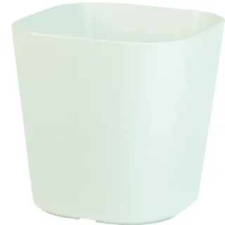 【翠筠用品】彩方盆6吋