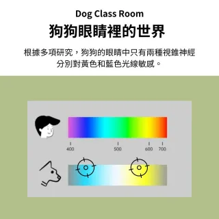 【Pet Universe 多寵宇宙】寵物尿布墊-特厚M-4包/組(寵物尿墊 尿布墊寵物 狗尿布墊 狗狗尿墊 狗狗尿布墊)