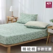 【HongYew 鴻宇】台灣製100%精梳棉 床包枕套組 單人(多款)