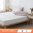 【HongYew 鴻宇】台灣製100%精梳棉 床包枕套組 加大(多款)
