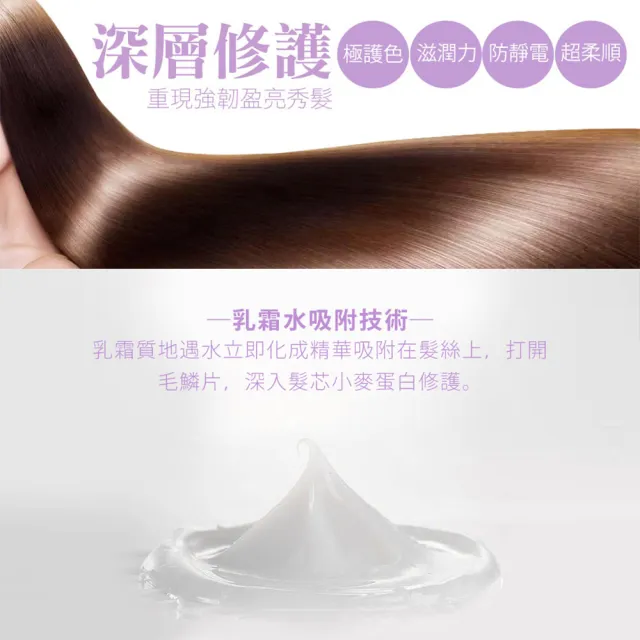 【SHILLS 舒兒絲】髮安瓶二入組_秘帖奢華護髮精華(潤髮乳/護髮乳/乾濕兩用)
