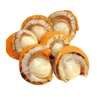 【優鮮配】特大2L北海道生食級特大-熟-含卵帆立貝2包(800G/包)