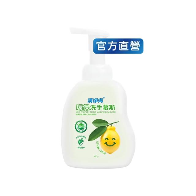 【清淨海】環保洗手慕斯480g(溫和清潔/手部潔淨/無添加酒精/無皂鹼/蓬鬆泡沫/嬰童用)