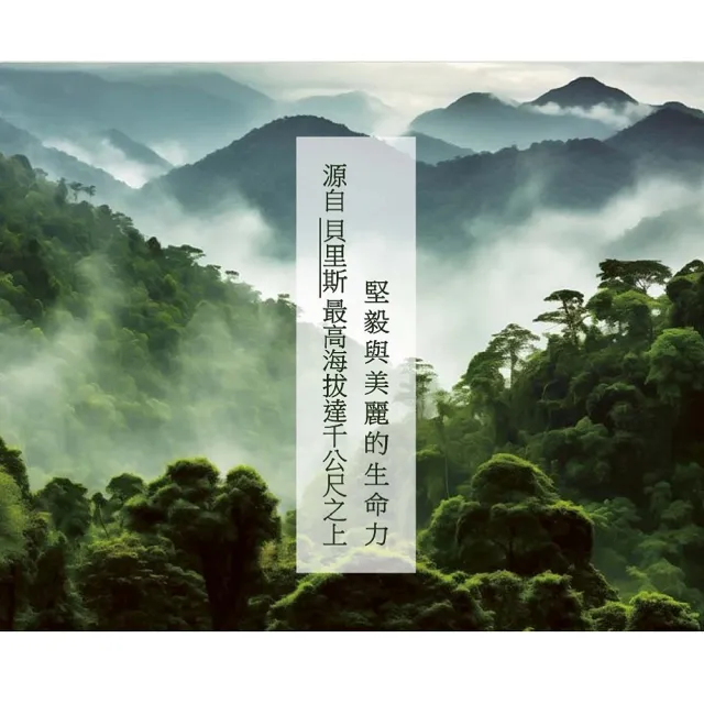 黑蘭極皙儷緻 御顏美容露(1入/組)