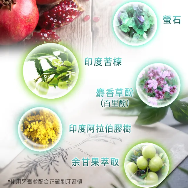 【Himalaya 喜馬拉雅】原廠草本牙膏100gX6入(草本/護齦配方)