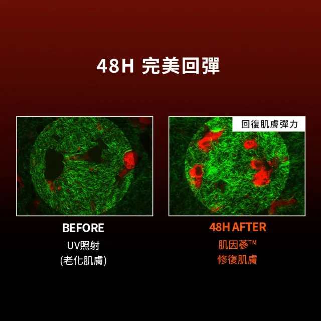 【Sulwhasoo 雪花秀】滋陰蔘回彈霜輕盈版50ml禮盒(官方直營 母親節禮物)