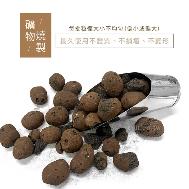 【天然介質】大包發泡煉石 特大粒 6號15-35mm(陶粒 水耕 礫耕 鋪面石 砵底石 瘋狂植物社)