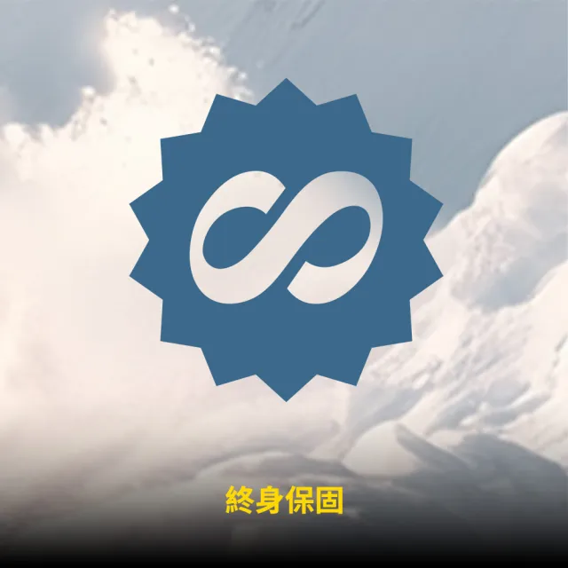 【Kingston 金士頓】Canvas Go!Plus microSD 128GB/200MB/s 記憶卡(SDCG4/128GB)