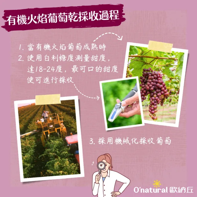 【O’natural 歐納丘】袋裝_有機火焰葡萄乾150g*3袋