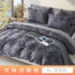 【貝兒居家寢飾生活館】頂級涼感60支天絲涼被(棉被/四季被/TENCEL/多款任選) 涼被/冷氣毯