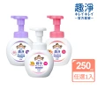 【LION 獅王】趣淨抗菌洗手慕斯 清爽柑橘/清新果香/淡雅花香(250ml)