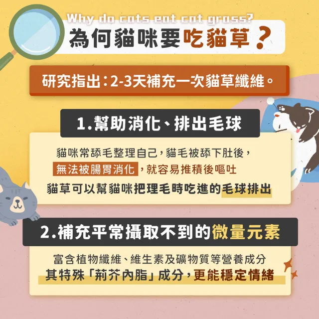 【穀魔力】高纖雞肉條10包共100條(台灣製造毛球零食／天然高纖助排毛／低脂營養/貓零食/貓肉條/貓草)
