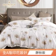 【HOYACASA  禾雅寢具】台灣製-100%萊賽爾天絲床包枕套-多款任選(雙人/加大 速達)