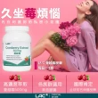 【LAC 利維喜】蔓越莓膠囊100顆x2入組(共200顆/私密呵護/素食可)