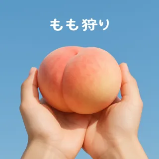 【喜鴻假期】超俗！【盛夏萬博趣桃5日】水蜜桃吃到飽、海遊館、嵐山小火車、奈良小鹿、和牛饗宴