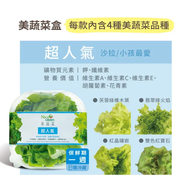 【NICE GREEn】美蔬菜盒6入免運組送6包沙拉醬(萵苣 生菜 沙拉 蔬菜 防疫健康組)