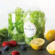 【NICE GREEn】鑽石沙拉杯20入送20包沙拉醬(生菜 美生菜 蔬菜 沙拉)