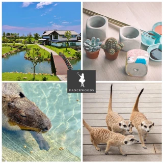 【綠舞日式主題園區】買1送1★日式園區+小清水陶盆仙人掌或彩繪DIY(假日不加價)