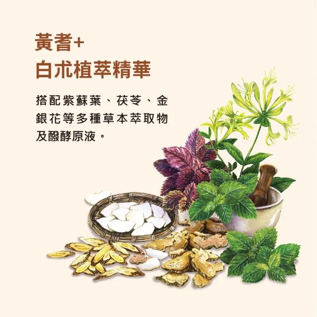【求真草本】好防護有酵果漿x6盒/箱(打造穩固防護力.植萃發酵即飲品.)