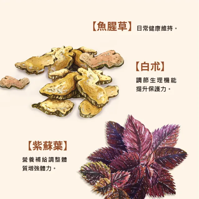 【求真草本】好防護有酵果漿x6盒/箱(打造穩固防護力.植萃發酵即飲品.)