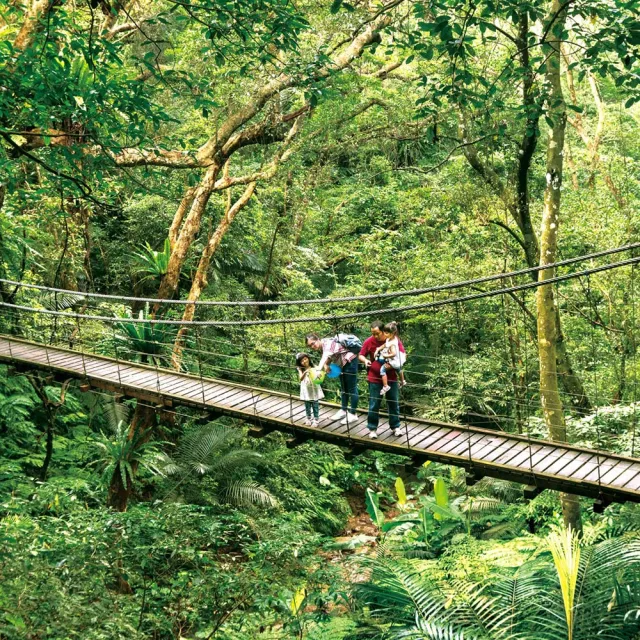 【大板根森林溫泉酒店】長效期！薰風四人客房含4客早餐(含森林入園門票+露天溫泉SPA(MO25)