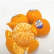 【舒果SoFresh】美國砂糖橘(6袋 /約6kg /箱)