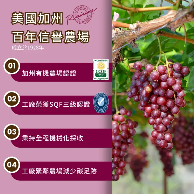 【O’natural 歐納丘】袋裝_美國加州火焰天然葡萄乾165g*3袋