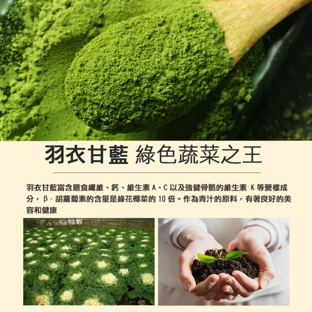 【盛花園】日本原裝進口九州產100%羽衣甘藍菜青汁(20入X3盒)