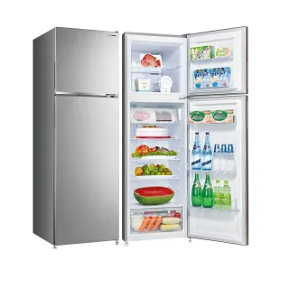 【SANLUX 台灣三洋】250公升一級能效變頻雙門冰箱(SR-C250BV1A)