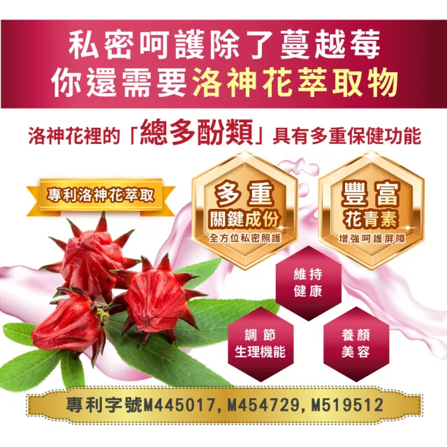 【友GO健康】專利蔓越莓+洛神花+維生素C隨身粉包30包/盒全素可食(4效配方-長效型保護+高倍濃縮 黑醋栗口味)