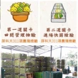 【EARNEST FARM 老實農場】100%檸檬/萊姆冰角任選6袋(28mlX10個/袋)