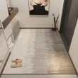 【H法姿曼】地毯 入戶門地墊 門墊 腳墊 門口家用地毯 可裁剪(140CM*200CM 環保無味 穩固防滑 預售15天)